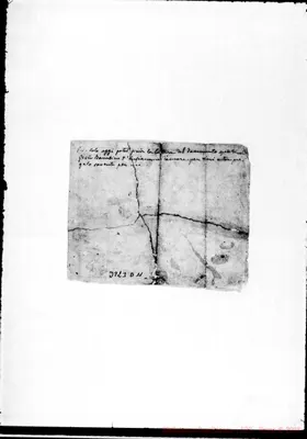Fotogramma D 11