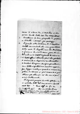 Fotogramma D 11
