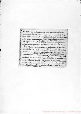 Fotogramma D 11