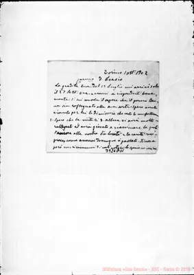 Fotogramma D 11