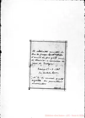 Fotogramma B 2