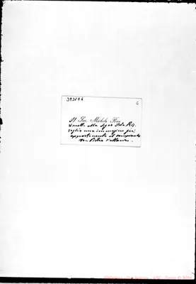 Fotogramma E 6