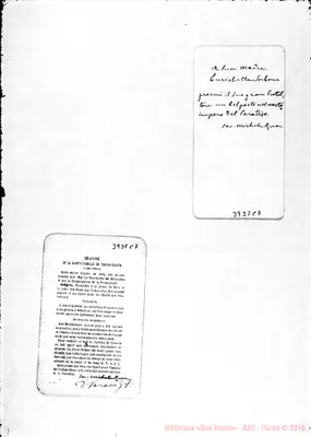 Fotogramma C 7
