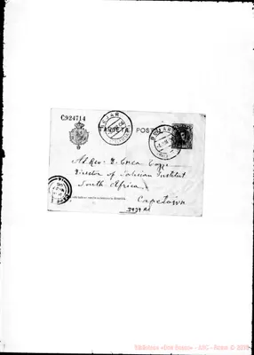 Fotogramma A 1