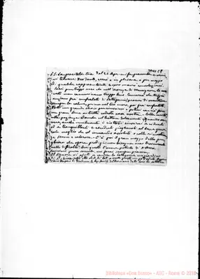 Fotogramma C 8