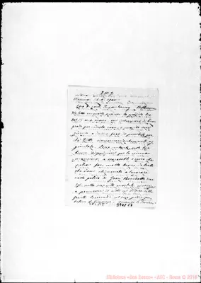 Fotogramma C 7