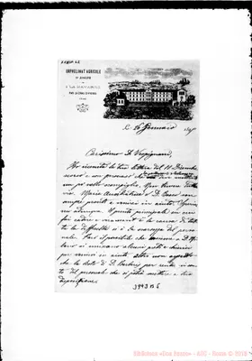 Fotogramma B 5