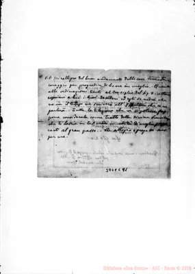Fotogramma C 11