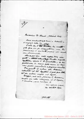 Fotogramma D 11