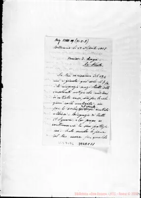 Fotogramma C 11