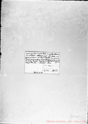 Fotogramma E 10