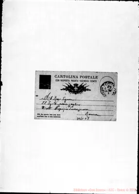 Fotogramma C 7