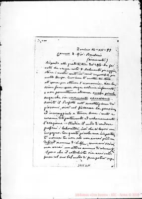 Fotogramma D 11