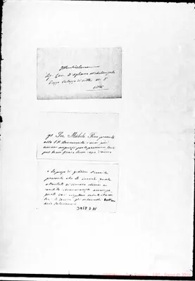 Fotogramma D 11
