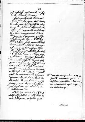 Fotogramma D 11