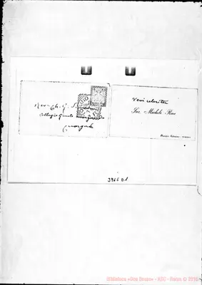 Fotogramma D 1
