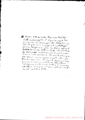 Fotogramma D 11
