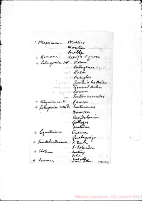 Fotogramma B 3