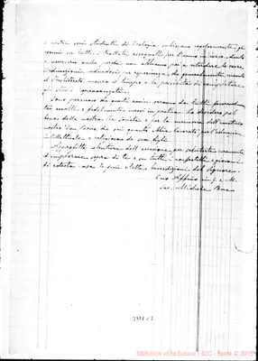 Fotogramma C 5