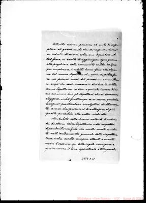 Fotogramma C 11