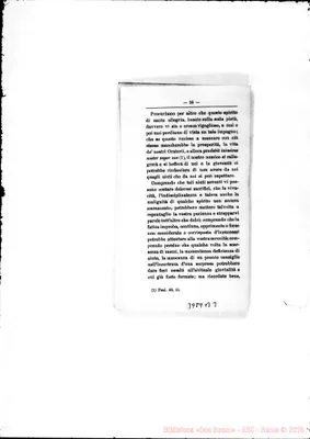 Fotogramma B 3