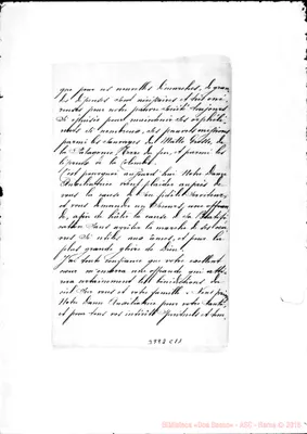 Fotogramma C 11