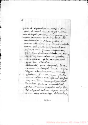Fotogramma D 4
