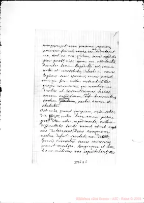 Fotogramma D 5