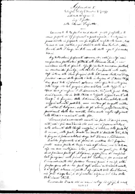 Fotogramma E 7