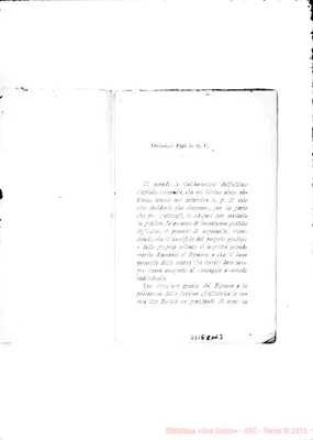 Fotogramma C 7