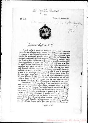 Fotogramma C 11