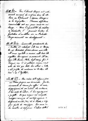 Fotogramma D 5
