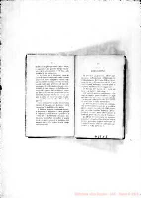 Fotogramma D 5