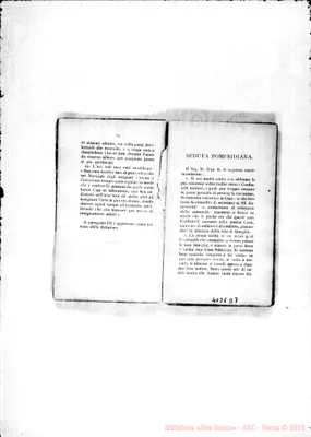 Fotogramma D 7