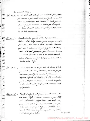 Fotogramma C 11