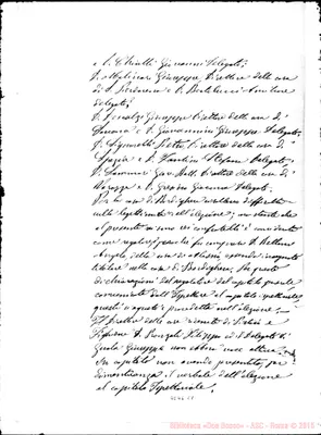 Fotogramma C 7