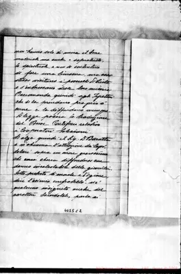 Fotogramma C 2