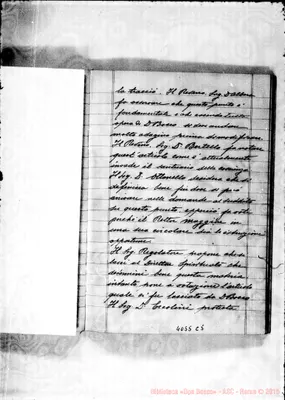 Fotogramma C 5