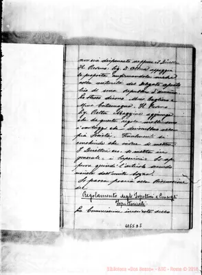 Fotogramma D 5