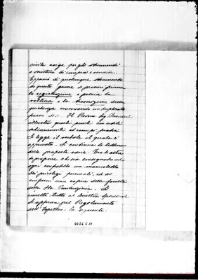 Fotogramma C 11