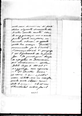 Fotogramma D 5