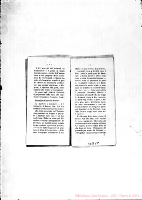 Fotogramma C 8