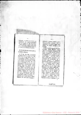Fotogramma D 4