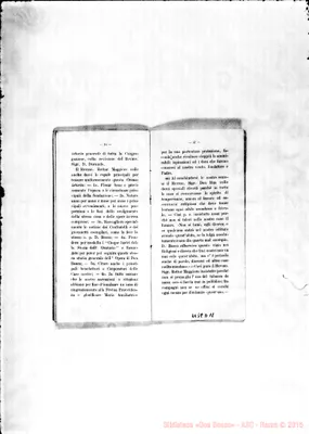 Fotogramma D 11