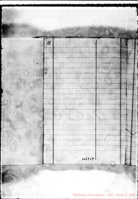 Fotogramma C 7