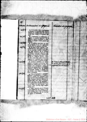 Fotogramma D 2