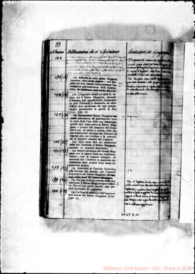 Fotogramma D 11