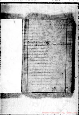 Fotogramma D 12