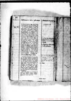 Fotogramma B 1