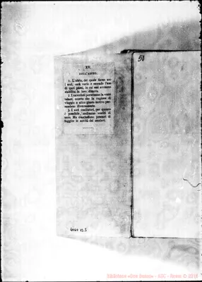 Fotogramma B 5